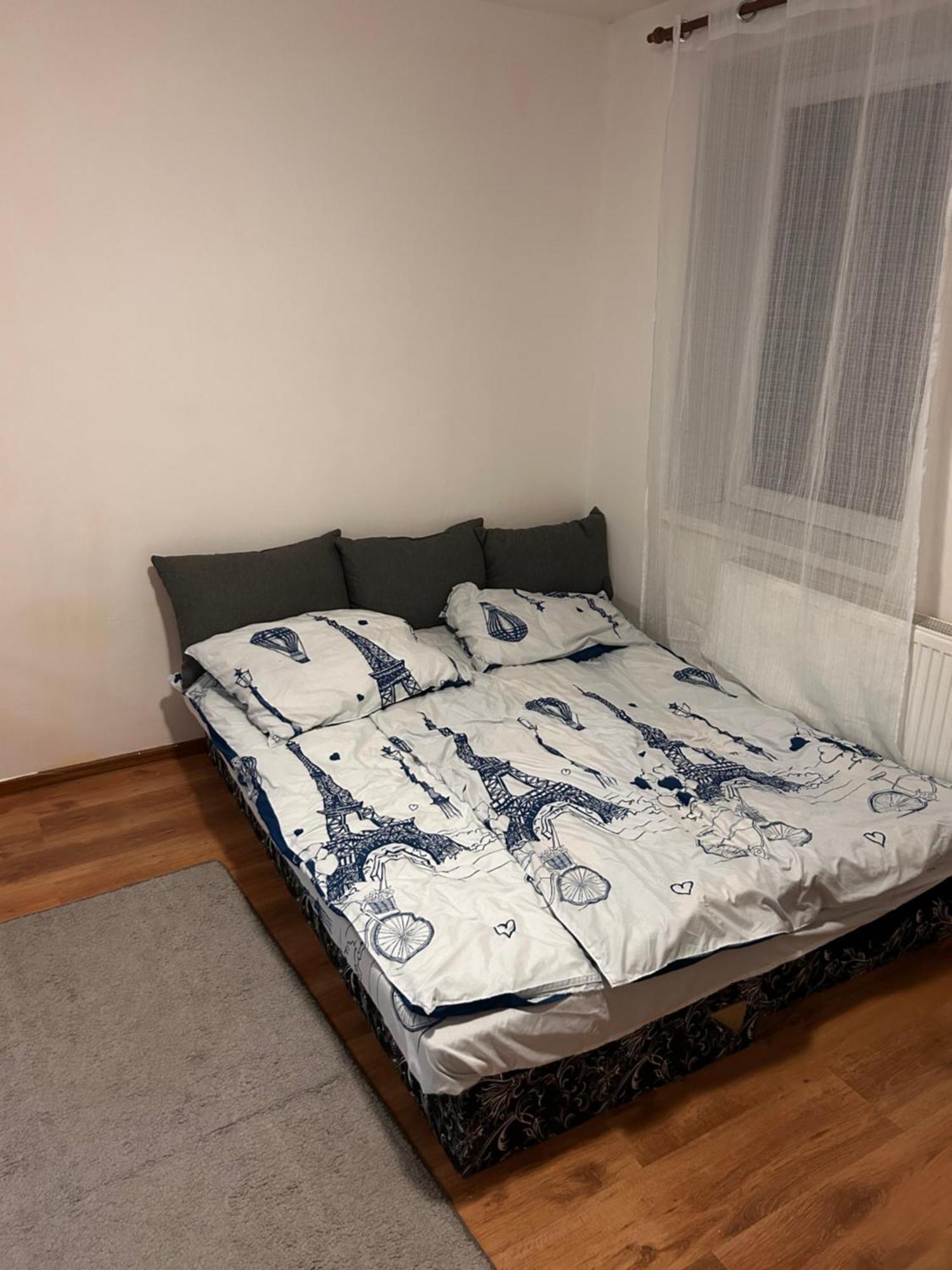Apartment Bilina Teplice